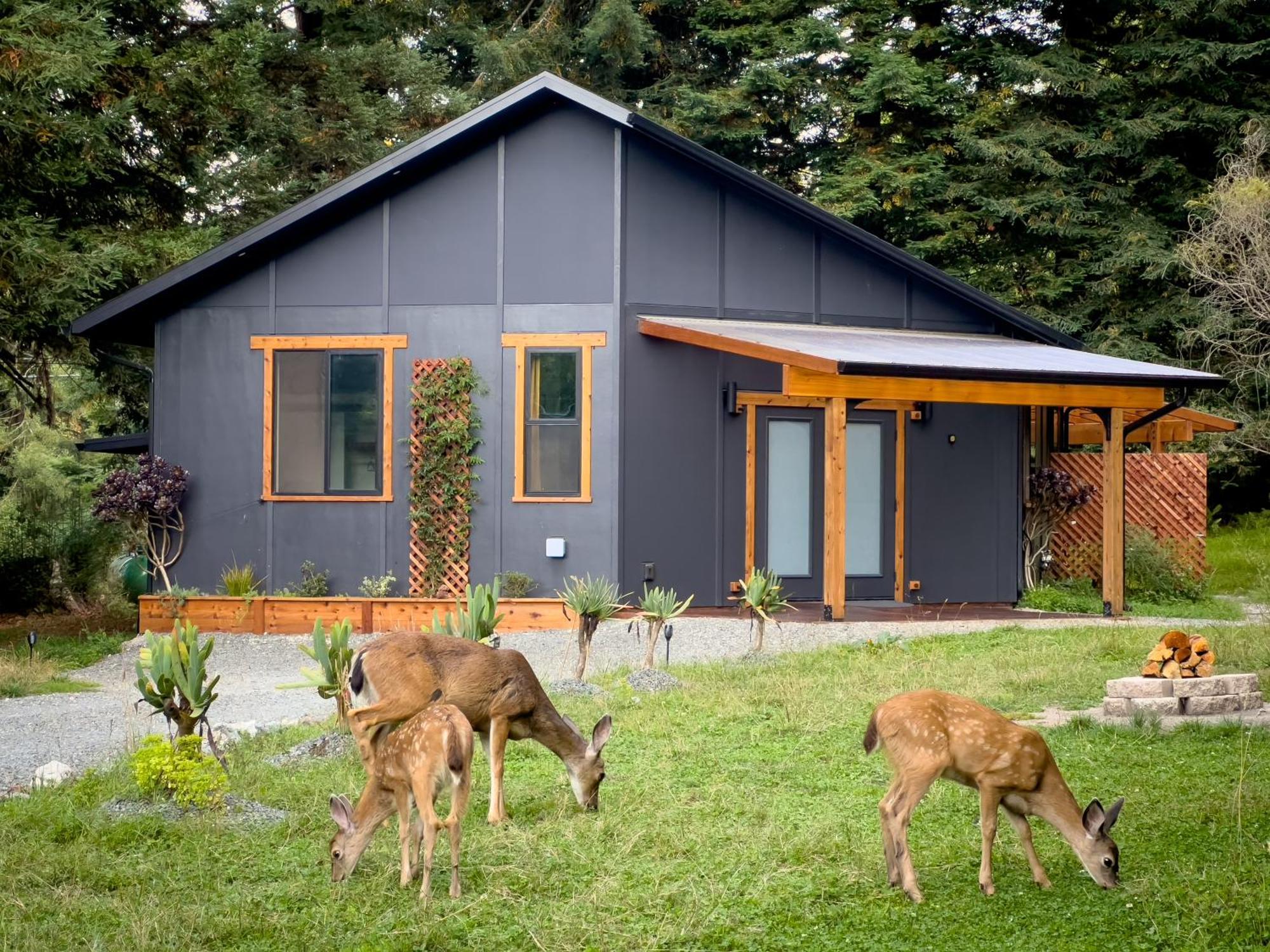 New, Modern, Country-Feel, Close To أركاتا المظهر الخارجي الصورة